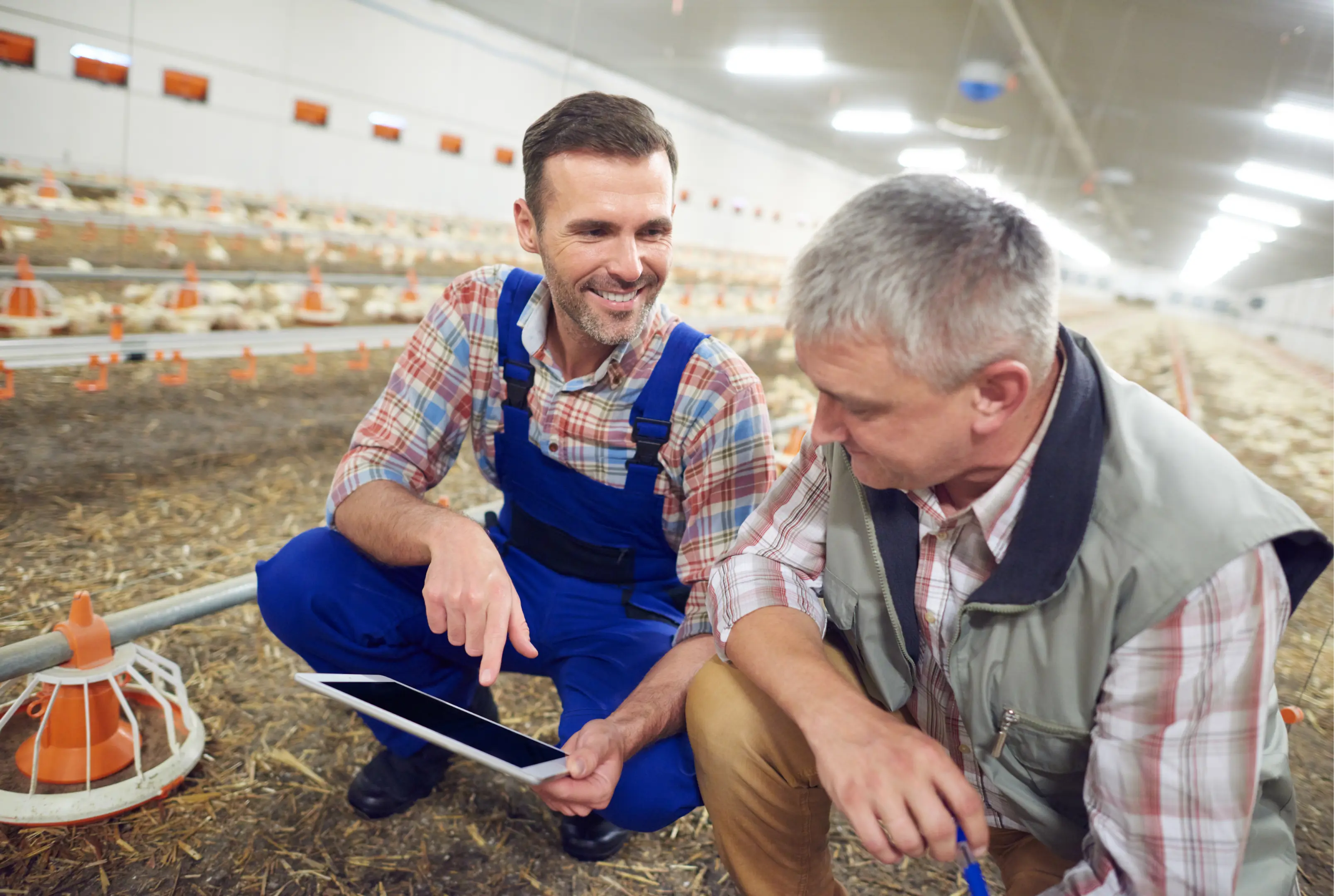 Two_men_talk_in_a_chicken_farm-Getty_Images-Kersia-966